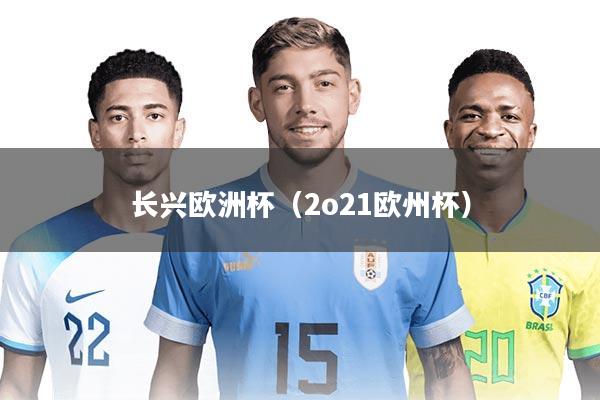 长兴欧洲杯（2o21欧州杯）