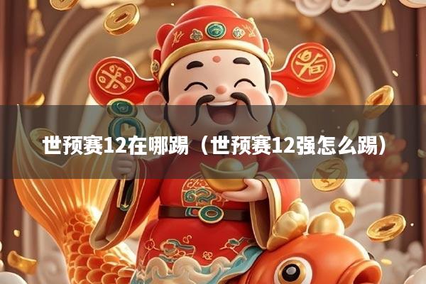 世预赛12在哪踢（世预赛12强怎么踢）